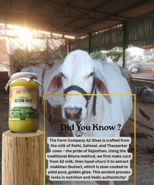 7aab6198-c425-4d3f-a1d1-2ad40bb42817